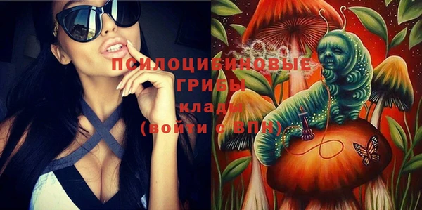 spice Переславль-Залесский