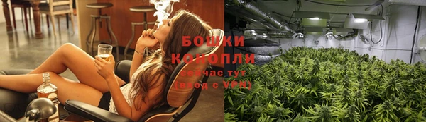 сатива Пестово